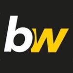 BetWasp Logo